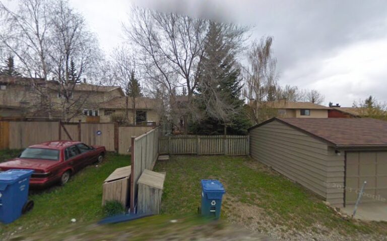 64768 ammonite coatings 768x480