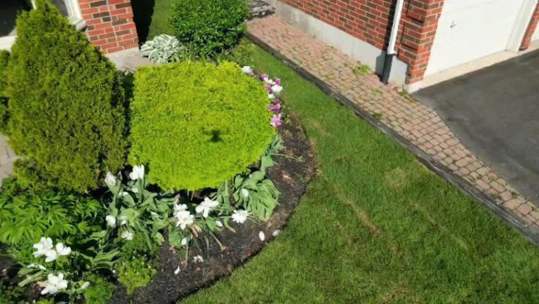 65185 aur landscaping inc 768x433