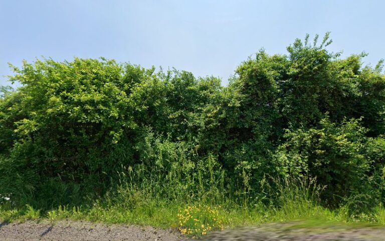 65298 baretta paving 768x480