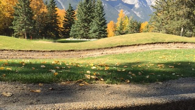 67156 curbmaster concrete and landscape