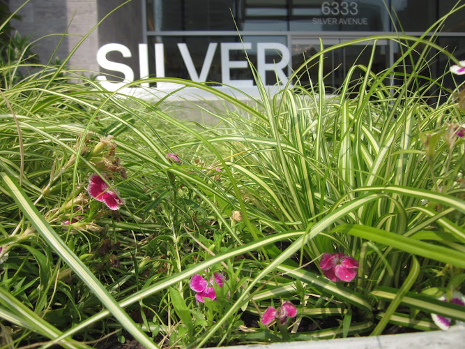 68058 expert stone paving landscaping