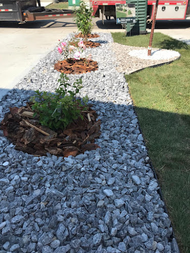 68111 farman services ltd