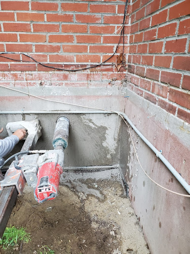 68422 forage collin inc