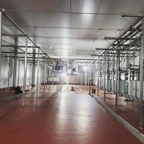 68582 gator construction group inc. calgary