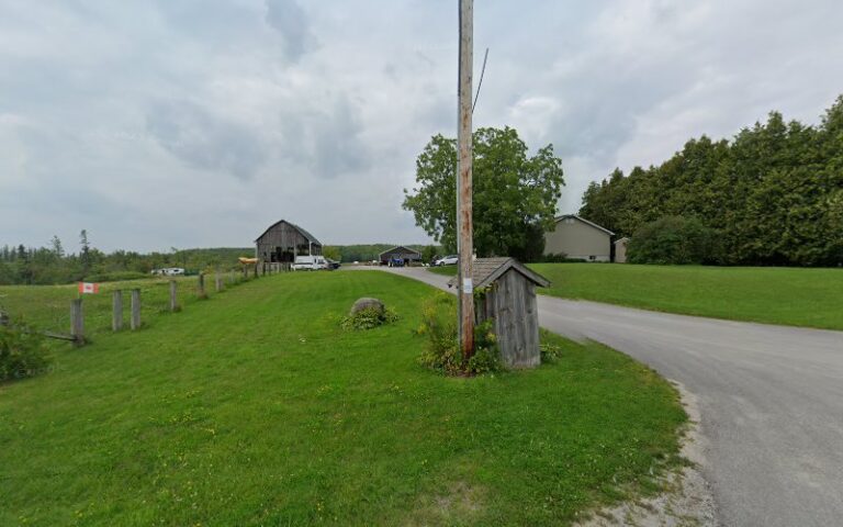 69245 here to pave 768x480