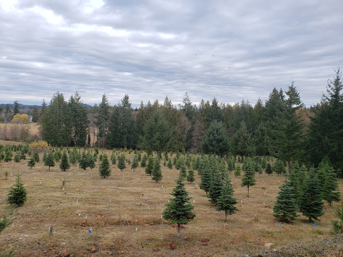 69475 island concrete finishing ltd