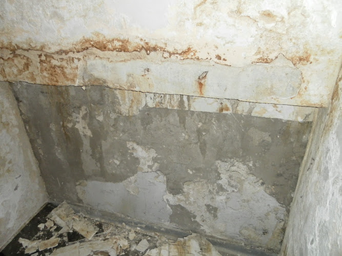 69815 kelso coatings revolutionary concrete solutions