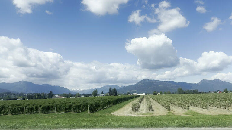 69851 keywest asphalt 333 ltd 768x432