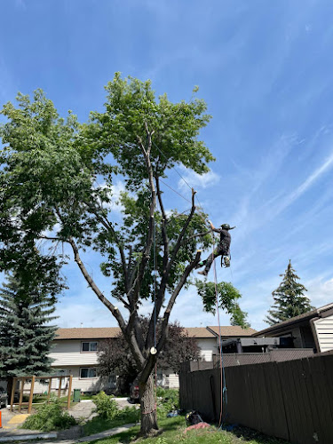 70097 le construction maintenance