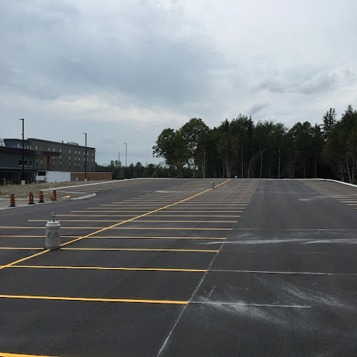 78246 p d sealing and lines