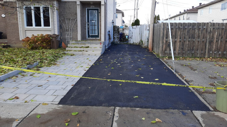 78394 pavage alpha 768x432