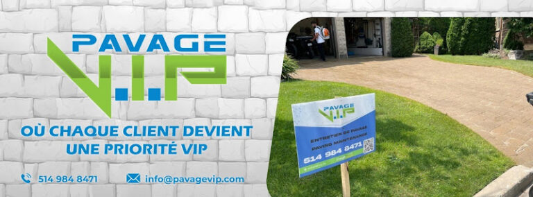 78654 pavage v.i.p 768x284