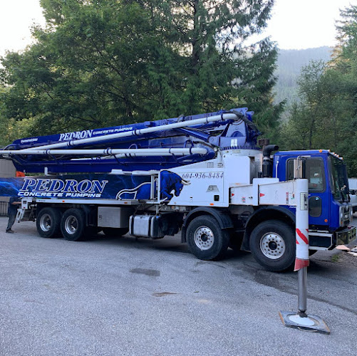 78850 pedron contracting ltd