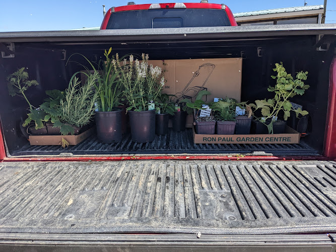 79812 ron paul garden centre 8211 concrete pavers landscaping