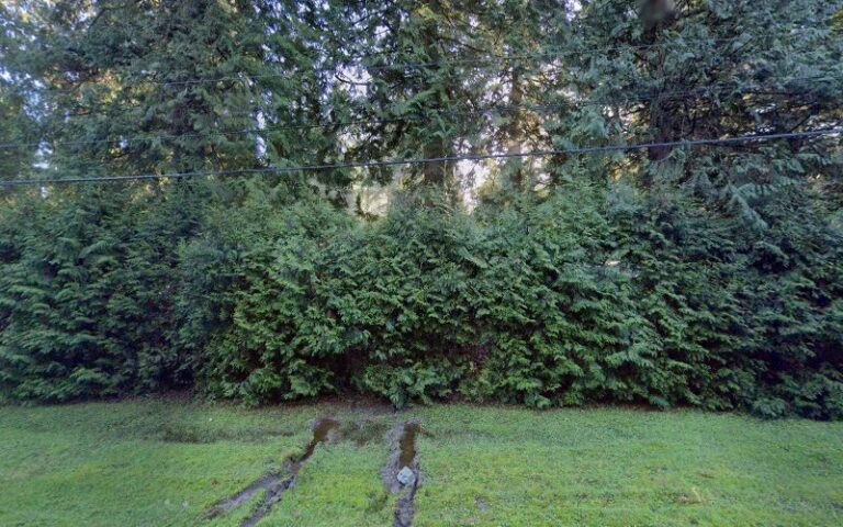 80316 shotcrete proshot structures ltd 768x480