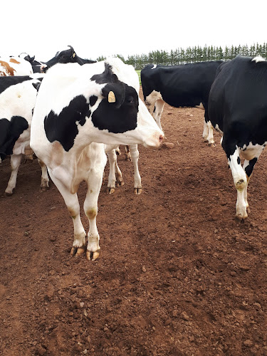 80825 swepco lubricants garth wood