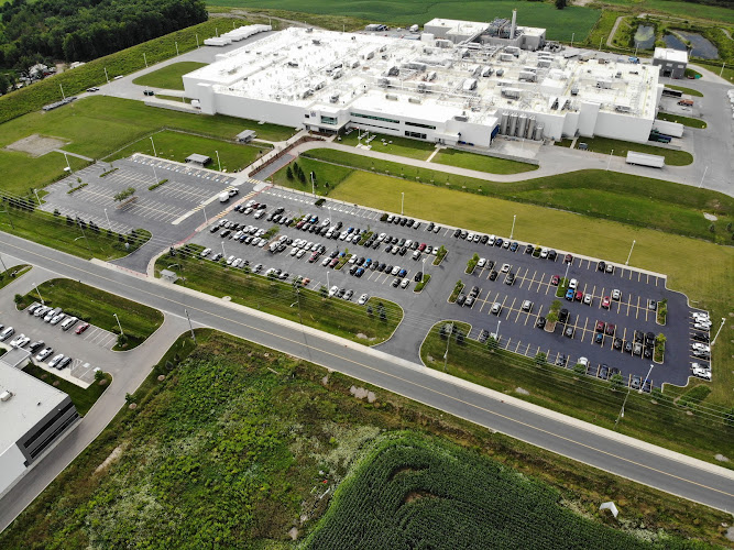 80997 the line painters