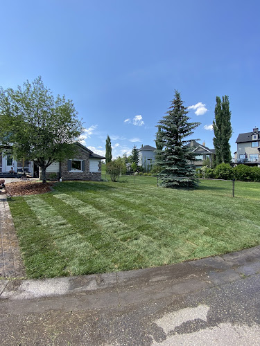 81113 tool co. landscape excavation concrete coatings snow removal