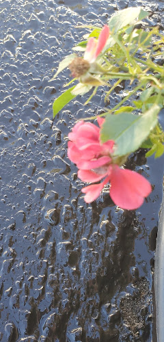 81197 total driveway maintenance