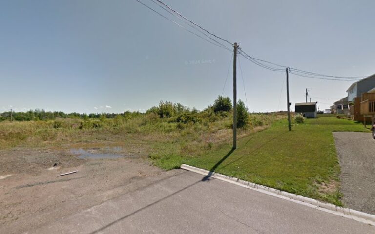 81285 true foundation inc 768x480