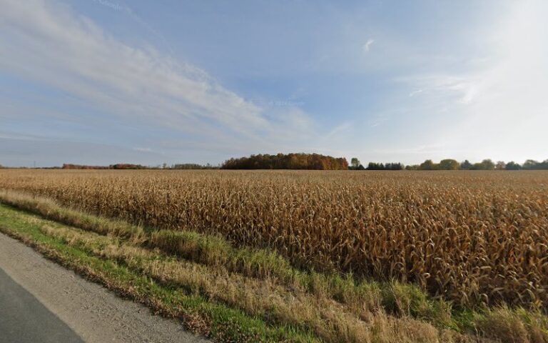 81836 wilhelm concrete 768x480