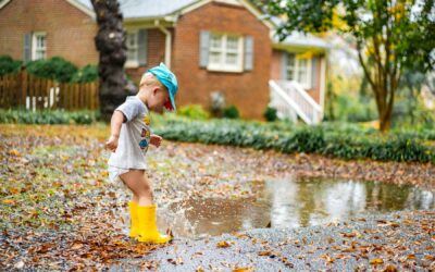 Driveway Drainage Solutions: Preventing Water Damage in Canadian Climates