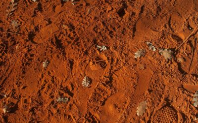 Dealing with Difficult Soil Conditions: Clay, Rock, and Wet Sites