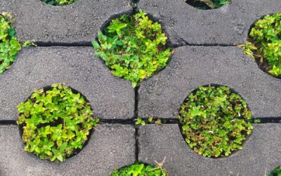 Eco-Friendly Paving Options: Sustainable Solutions for Canadian Properties