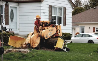 Paving Safety: What Homeowners Should Know During Construction